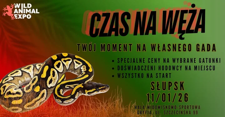 Obrazek przedstawia grafikę promocyjną wydarzenia Wystawa i sprzedaż węży w Słupsku — informacje praktyczne