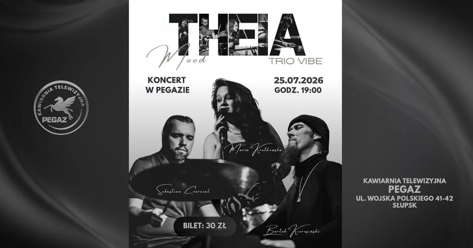 Grafika promocyjna wydarzenia THEIA MOOD Trio Vibe – koncert w Pegazie