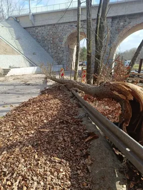 Spokojniejsze święta w Damnicy tylko z pozoru – strażacy mieli pełne ręce pracy
