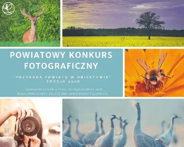 Powiat słupski szuka najlepszych zdjęć natury. Ruszył konkurs z nagrodami