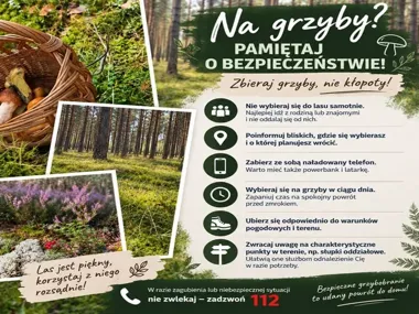 Grzybobranie w okolicach Słupska. Policja ostrzega przed zgubieniem drogi