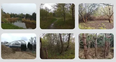 Park Łososia nabiera kształtu. Mieszkańcy zobaczą plan dla błoni