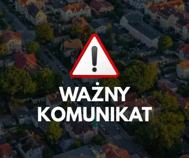 Ciemna substancja na plażach. Próbki z Ustki trafiły do badań