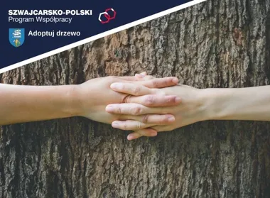 Ustka zapowiada adopcję drzew. Akcja będzie częścią projektu za 4 mln zł